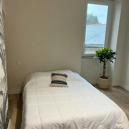 Casa Palmera Cholet